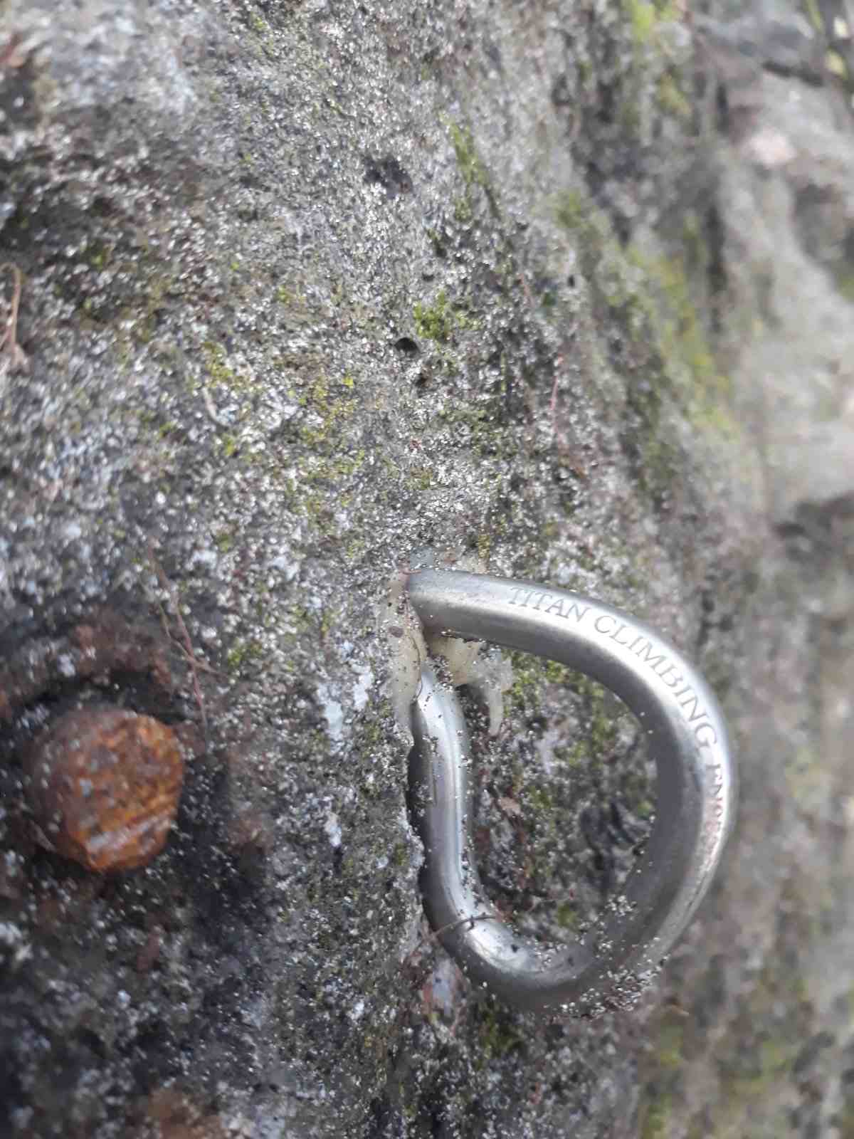 A shiny new glue-in titanium P-bolt on grey rock