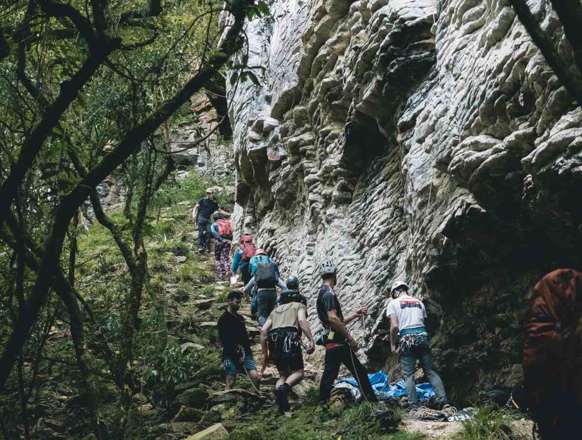 Several climbers belaying at the base of a limestone cliff in the native bush.