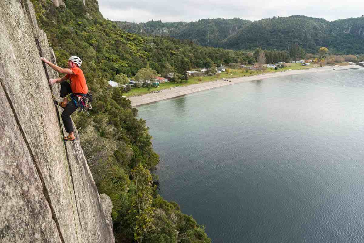 Image of climber on vertical wall with bush and lake in the background.