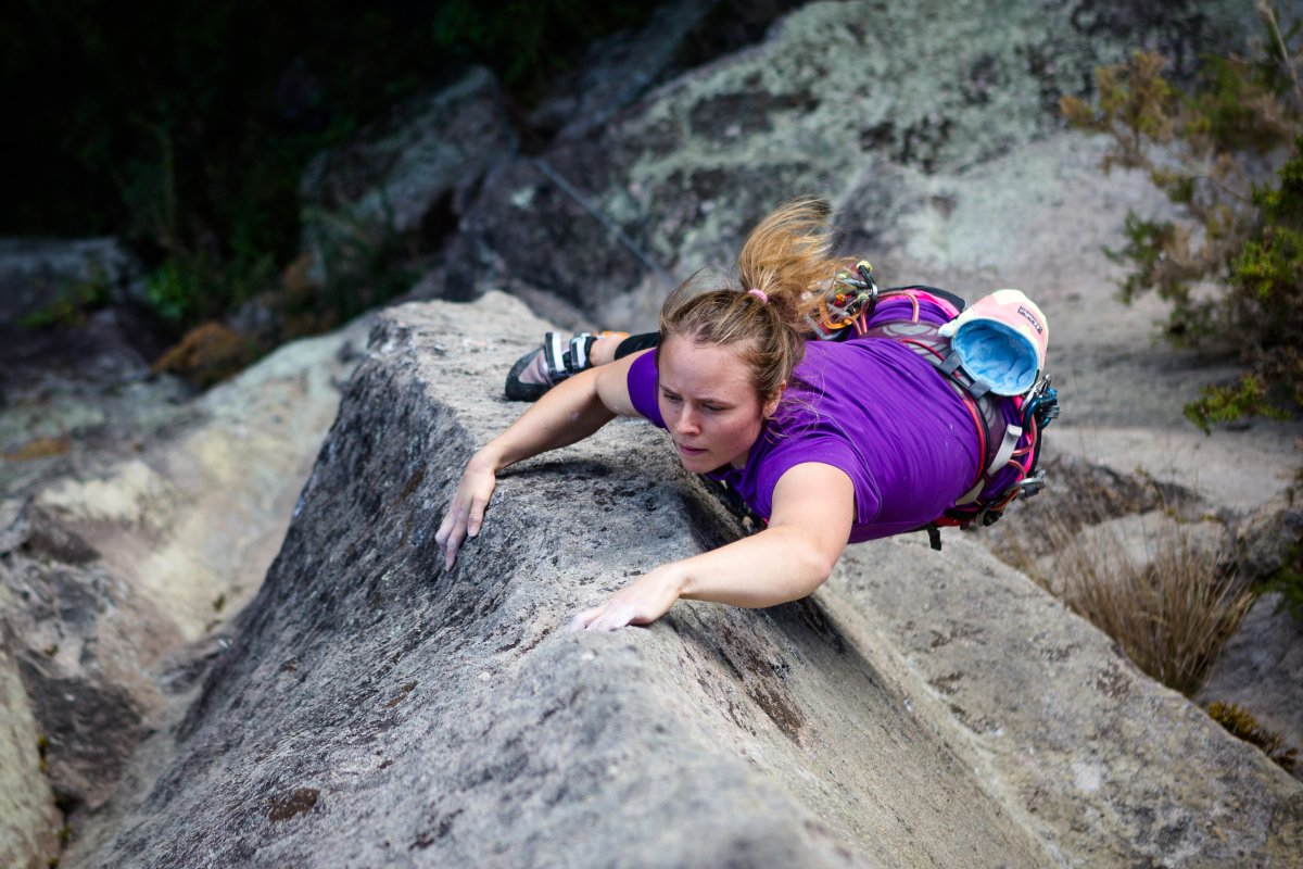 Aotearoa Climbing Access Trust logo